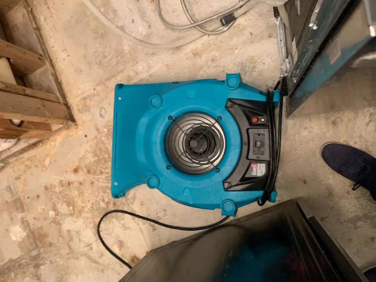 Air mover drying equipment for Mold Remediation & Removal in Elizabeth City